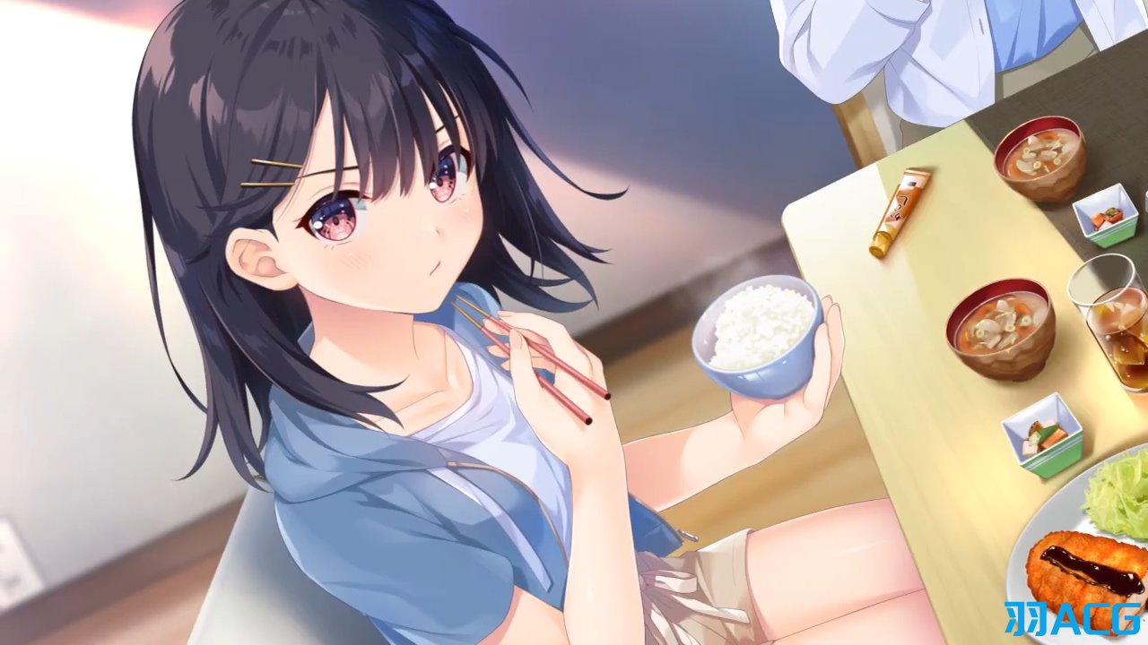 【PC+KRKR】无法忍耐的处男哥哥和不直率的叛逆妹妹/童贞兄妹 - ガマンができない童貞アニキとスナオになれない反抗妹【4.02G】