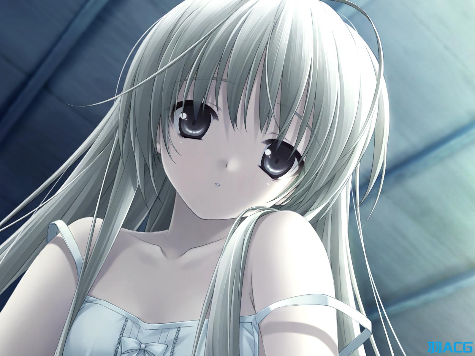 【PC+安卓+KRKR+ONS】悠之空 - ハルカナソラ【1.59G】