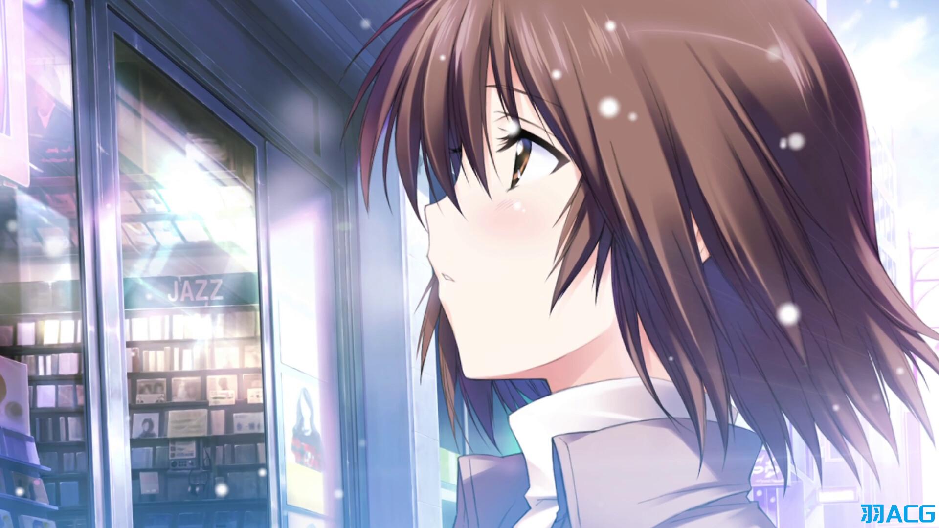 【PC】WHITE ALBUM-白色相簿1 - 被点缀的冬之回忆【3.47G】