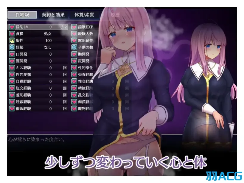 【PC+Joi】艾妮希雅与契约纹 ~马蹄大街的娇弱圣女 - エニシアと契約紋 ~馬蹄通りの小聖女~ V1.10【2.16G】